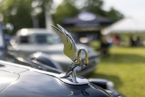 the-car-show-21
